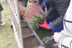 545883902_122132155724936800_5385125359016346247_n