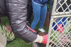 545910070_122132155586936800_1570829956984326125_n