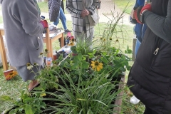 547368874_122132155718936800_690571040452570488_n