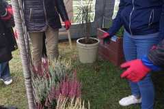 547420597_122132155676936800_5162022861891143999_n