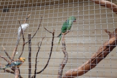 545327009_122130379754936800_2146111835727774424_n