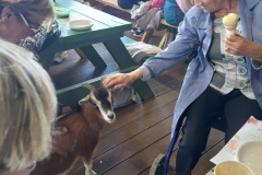 545397635_122130377486936800_5830816348281742544_n