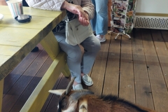 546114592_122130377564936800_4167647824307822570_n