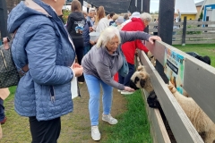 546231146_122130378932936800_3179887345062628717_n