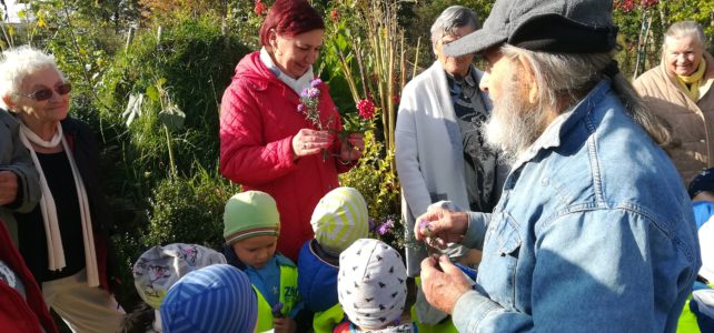 Jesienny spacer seniorów z przedszkolakami Jesienny spacer seniorów z przedszkolakami